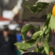 Market Tour, Cooking Class & Lunch