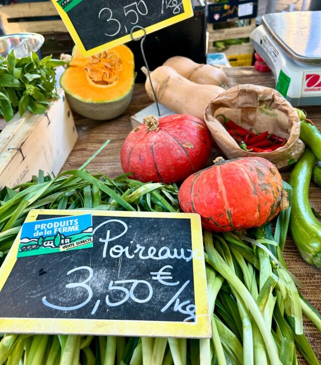 My October newsletter celebrates the shedding of the old to make way for the new. You’ll read about the Ligurian village where I’ve bought a second home, and get a taste of my upcoming Southern Morocco Culinary Adventure. I also share a brilliant recipe from @divinacucina for no-stir risotto! The link can be found in my bio. 
.
.
.
#cookingclass #nicefrance #ilovenice #nicecotedazur #frenchriviera #frenchcooking #provence #cuisinenicoise #newsletter #risottolover #squash #moroccotrip